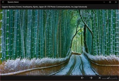 Dynamic theme — изображение дня Bing для рабочего стола и экрана блокировки