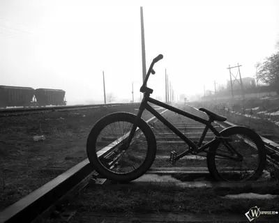 Bmx, чёрно-белое, спорт Обои 1752x2800 Samsung Galaxy Tab S7+