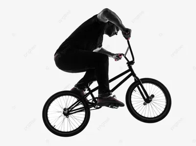 bmx bike 3D Модель in Велосипед 3DExport