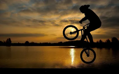 Скачать обои Bmx Bike Art, Bmx, Bike, Арт в разрешении 2560x1440 на рабочий  стол