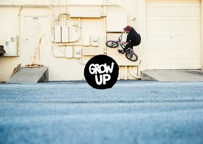 BMX Bike 3D Модель in Велосипед 3DExport