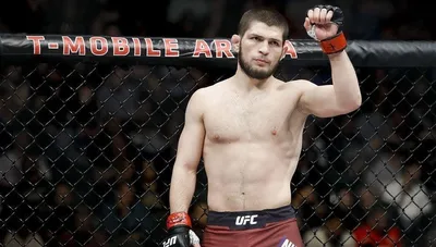 UFC 267: Махачев — Дос Аньос, дата поединка, где смотреть онлайн боя  Махачев — дос Аньос - Чемпионат