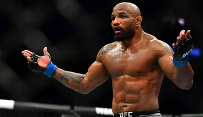 Хамзат Чимаев рассказал, почему представляет в UFC Швецию | Fightnews.info