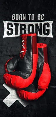 Картинки до телефона/собака/животные/ обои на телефон/ картинки для сторис  | Boxing images, Boxing gloves, Gym wallpaper