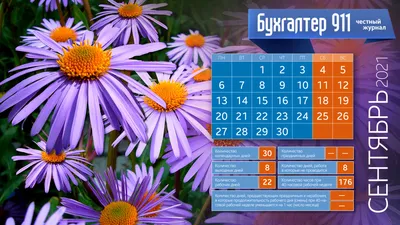 ⏰️ Как установить двойные часы на смартфоне с MIUI 11