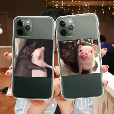 Забавный мультяшный чехол со свиньей для телефона iphone 11 12 13 Pro XS  Max X XR, чехол для iphone 6 S 7 8 plus SE, мягкий чехол, милые Чехлы для  пар | AliExpress