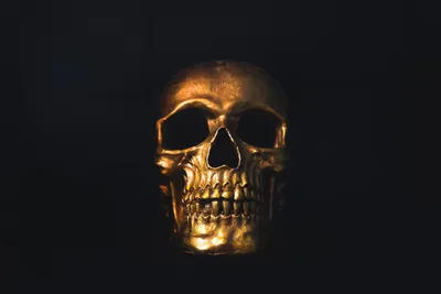 Скачать Steampunk Skull Clock Free 1.0 для Android