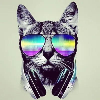 Drum And Bass Samples #1 | Drum And Bass Samples #1 is a sample library of  royalty free DnB loops and one shots. Inspired by the likes of Pendulum,  James Ford, Mefjus,