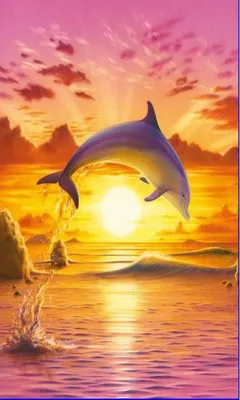 https://drawpics.ru/30101-delfin-na-zakate-risunok