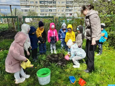 Игры на природе: 12 идей для взрослой компании и детей | РБК Life