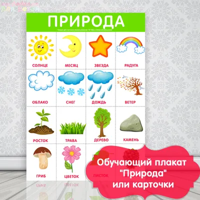 Отдых для детей и школьников на природе -Детский отдых -Дневники туриста