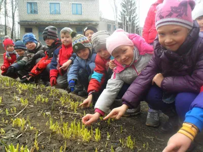 Организация прогулок в детском саду по ФГОС, пример конспекта, выносной  материал и прочее