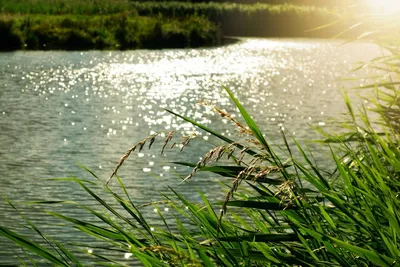 Подготовка к конкурсу «Дети. Вода. Безопасность»