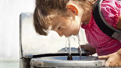 Правила поведения на воде. Государственное учреждение образования \"Детский  сад № 4 г. Чаусы\"