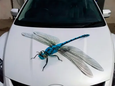 Аэрография на капоте Toyota Land …» — создано в Шедевруме