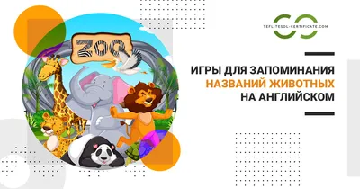 Smart Deti Плакаты для детей школы Английский язык