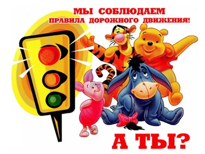 Дорожная безопасность | Гимназия №9