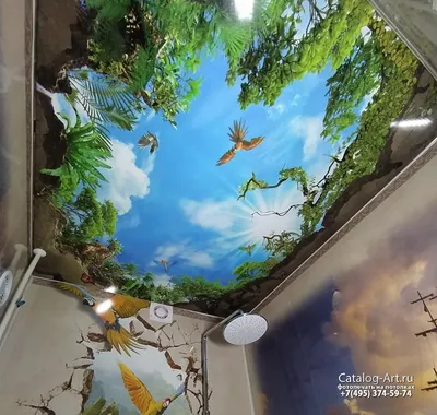 Натяжные потолки с фотопечатью от 849 руб. за 1 м2 с установкой в Москве,  фото