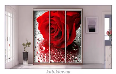 Фотопечать для шкафа-купе ✓ Красная роза и капли воды ✓ ДОМ ♢ Купить  фабричный шкаф-купе с фотопечатью недорого в КУБ-мебель в Киеве