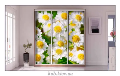 Фотопечать для шкафа-купе ✓ Милые ромашки ✓ ДОМ ♢ Купить фабричный шкаф-купе  с фотопечатью недорого в КУБ-мебель в Киеве