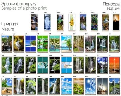 Угловой шкаф-купе с фотопечатью в комнату \"Модель 286\" от GILD Мебель в  Саратове - размеры, цены, фото и описание.