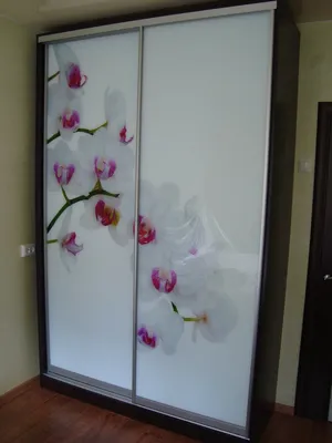 Шкаф-купе ГОСТ 3Д 45 ФОТОПЕЧАТЬ 240х220х45 арт. 10249412, купить в Москве  по цене 71 799 руб. - фото, габариты, отзывы | Интернет-магазин MnogoDivanov