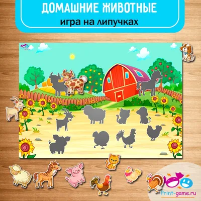 Картинки для игр на липучках фотографии