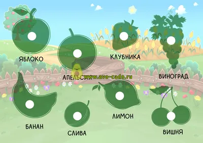 Развивающая игра на липучках о фруктах и ягодах скачать бесплатно и  распечатать