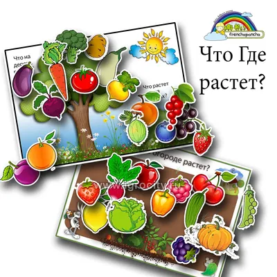 Игра на липучках \"Что Где растет\", Frenchoponcho - купить в  интернет-магазине Игросити