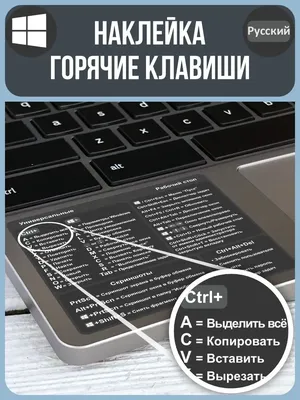 Купить 100 дорожных наклеек Ноутбук Мобильный телефон Чашка Декоративные  наклейки Водонепроницаемые наклейки для рук | Joom
