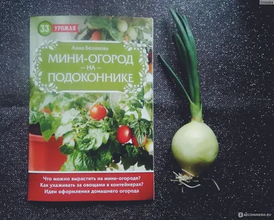 Лук - наш друг - комплект для оформления | скачать и распечатать