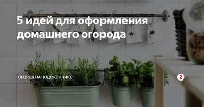 Новости - Посадили огород, посмотрите, что растет! - Сайт детского сада  \"№53 \"Сказка\" г. Озерска