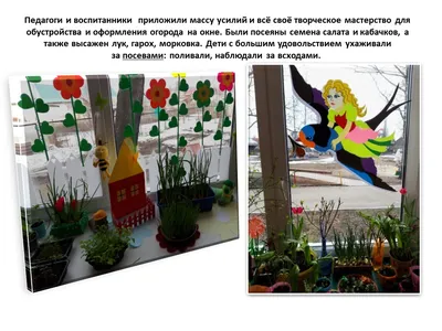 Работа — Огород на подоконнике, автор Быкадорова Наталья Олеговна