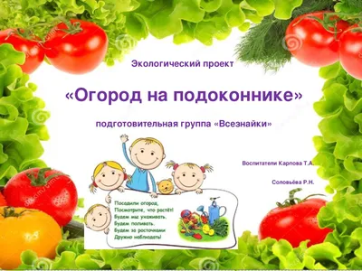 Огород на подоконнике: как вырастить помидоры, огурцы, морковь, зелень и  другие культуры дома
