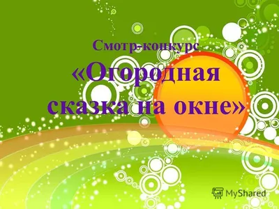 МАОУ CШ №59 \"Перспектива\" г.Липецка Огород на окне