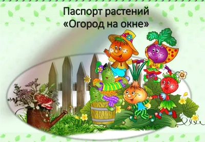 Огород на окне — МАДОУ д/с № 135 города Тюмени
