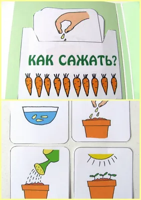 Огород на окне зимой - 72 фото