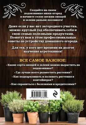 7 идей для создания красивого домашнего огорода (с ним вы обойдетесь без  декора!) | ivd.ru
