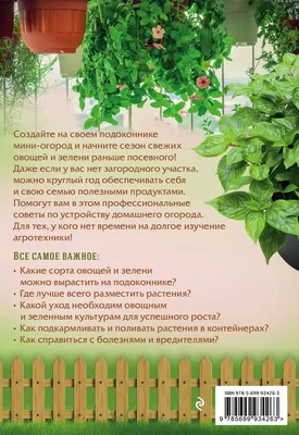 Огород на подоконнике: 7 растений, которые вы легко можете вырастить у себя  дома - МЕТА