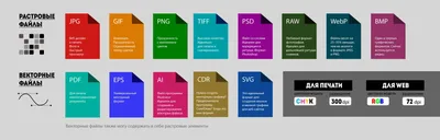 милый кролик для печати на футболках PNG , кролик, арбуз, Кролик PNG  картинки и пнг рисунок для бесплатной загрузки