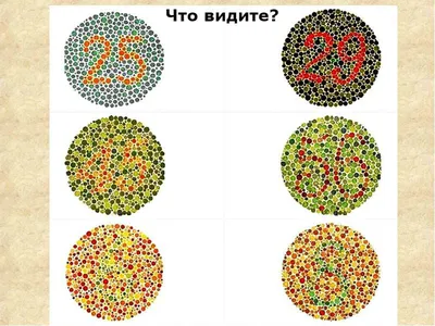Онлайн-тест на дальтонизм | Тест на цветовосприятие на сайте АО  «МАКДЭЛ-Технологии»