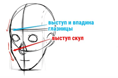 Как нарисовать лицо карандашом: поэтапная инструкция для начинающих (140  фото). Основные пропорции лиц человека, взрослых, детей, пожилых