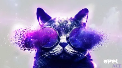 Аватарки on Viber
