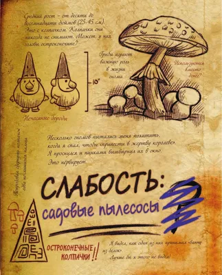 Самая ожидаемая книга 2017: Для поклонников Гравити Фолз - YouLoveIt.ru