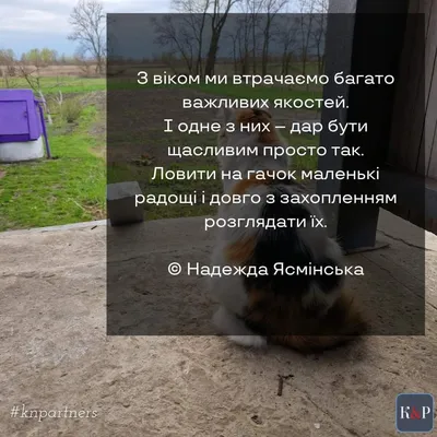 Доброго ранку, Україно | Пикабу