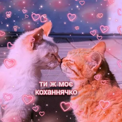 доброго зимнего утра на украинском языке｜TikTok Search