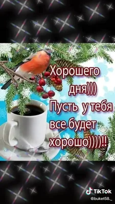 Доброе утро, друзья!. Сегодня без осадков - Лента новостей Запорожья