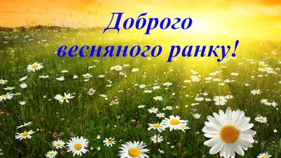 Картинки доброго ранку на українській мові гарного дня (48 фото) » Юмор,  позитив и много смешных картинок