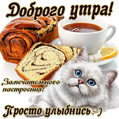 Доброе утро, друзья! Всем бодрости духа и крепкой веры нашу победу, и тех  мужиков и девчат, что сегодня ее отстаивают на огненных рубежах нашей  страны - Лента новостей Херсона