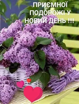 Доброе утро, друзья!. Желаем вам продуктивного дня! - Лента новостей  Запорожья
